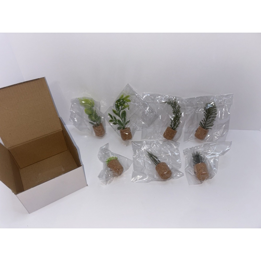 Plant Fridge Magnets-Mini Succulent Magnets Set of 7 NEW In Box‎ Office Decor